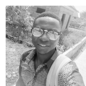 Olawoyin Daniel-Freelancer in Yenagoa,Nigeria