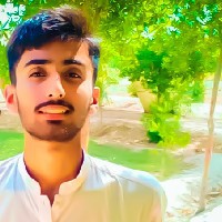 Tipu F1-Freelancer in Rahim Yar Khan,Pakistan