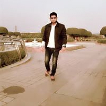 Naveen Prajapati-Freelancer in New Delhi,India