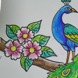 Navya Kamalla-Freelancer in Vijayawada,India