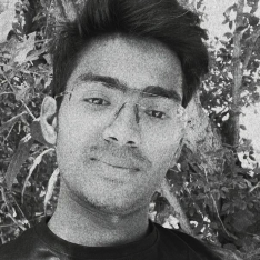 Mitesh Raghuvanshi-Freelancer in Vadodara,India