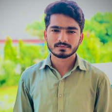 Nazim Ali-Freelancer in Mandi bahauddin,Pakistan