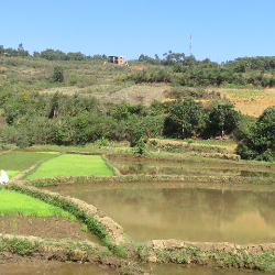 Dimby Raveloson-Freelancer in Antananarivo,Madagascar