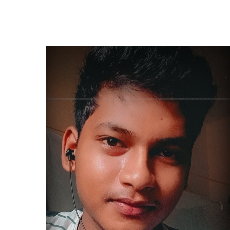 Milan Sahoo-Freelancer in Talcher,India
