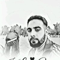 Ansar Ali-Freelancer in swabi,Pakistan