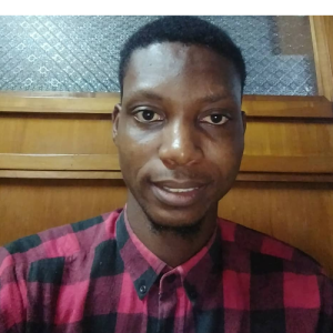 Ogunyemi Godwin-Freelancer in Lagos,Nigeria.,Nigeria