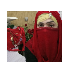 Nafeesa Farooq-Freelancer in Gujrat,Pakistan