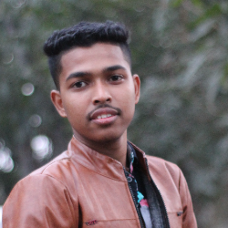 Fardin Ahemmed Riaz-Freelancer in Khulna,Bangladesh