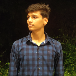 Ashish Singh-Freelancer in Indore,India