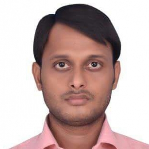 Raj Kumar Singh-Freelancer in Bangalore,India