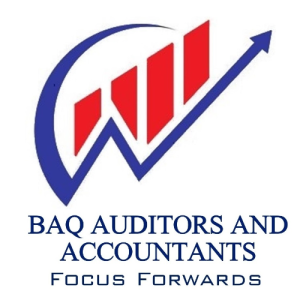 Baq Auditors And Accountants-Freelancer in Sharjah,UAE