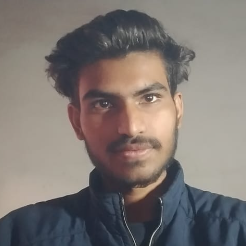 Krishna Pal-Freelancer in Sleepy Hollow,India