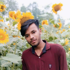 Tufan Roy-Freelancer in Dinajpur,Bangladesh