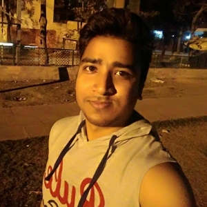 Nitesh Kumar-Freelancer in Noida,India