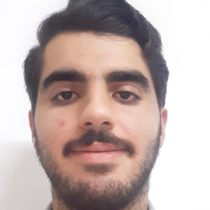 Assem Bassel-Freelancer in Abu dhabi,UAE