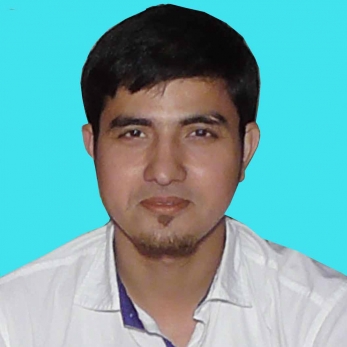 Dilabar Hussain-Freelancer in islampur,India