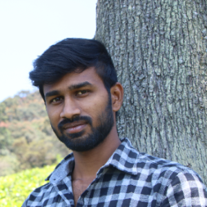 Pirai S-Freelancer in Tiruppur,India