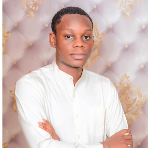 Muhammad Ismail Adamu-Freelancer in Kano,Nigeria