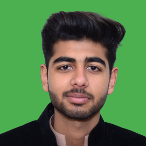 Hassan Ali Shoaib-Freelancer in Islamabad,Pakistan