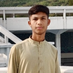 Husnain Khadim-Freelancer in Bahahwalpur,Pakistan