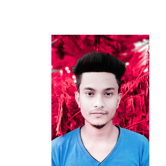 Pretom Debnath-Freelancer in Satkhira,Bangladesh