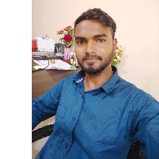 Ajay Kumar Gupta-Freelancer in Greater Noida,India