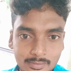 Ragimakulapalli Harish-Freelancer in Ramasamudram,India