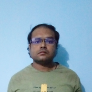 Nikhil Nikhil-Freelancer in Delhi,India