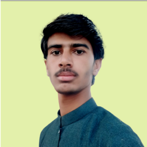 Ali Hamza-Freelancer in Multan,Pakistan