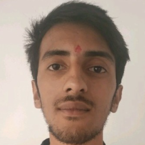 Shubham Patiyal-Freelancer in Mohali,India