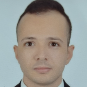 Mahmoud Nabil-Freelancer in Cairo,Egypt