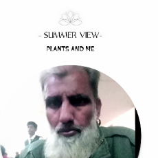 Noor Ahmad-Freelancer in Kundian,Pakistan