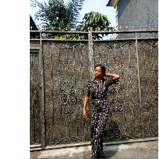 Esther Inyang-Freelancer in Lagos,Nigeria