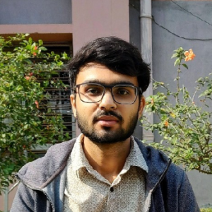 Syed Tazyeen-Freelancer in Patna,India