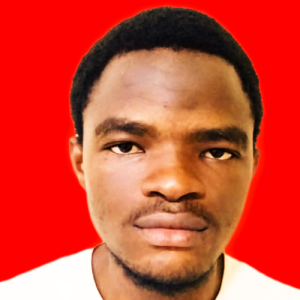 Abiodun Busayo-Freelancer in Lagos,Nigeria