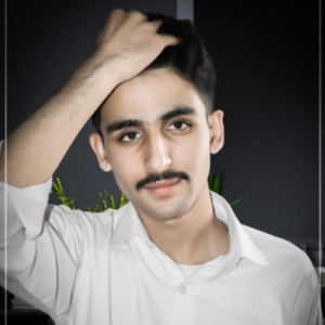 Syed Shahzaib Hussain-Freelancer in Islamabad,Pakistan