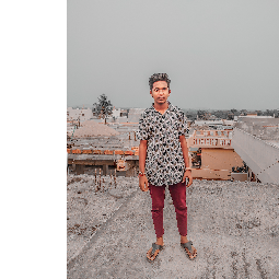 Harish Vojjala-Freelancer in Hyderabad,India