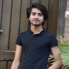 Syed Minhaj Ali-Freelancer in Multan,Pakistan
