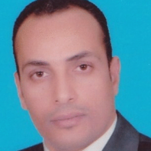 Al Amein Mahmoud Ahmed-Freelancer in Cairo,Egypt