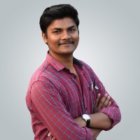 Vinay Kumar Soni-Freelancer in Satna,India
