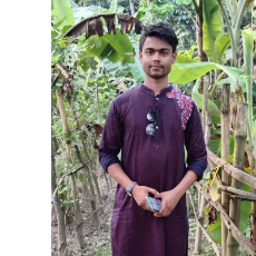 Rj Nill-Freelancer in Narsingdi,Bangladesh