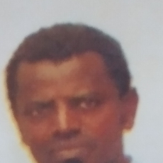 Sintayhu Mersha-Freelancer in Awash 7 killo,Ethiopia