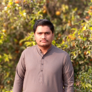 Bilal Ahmad-Freelancer in Gujranwala,Pakistan