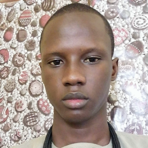 Abdou Lahi Diop-Freelancer in ,Senegal