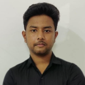 Nur Hussain-Freelancer in Kolkata,India