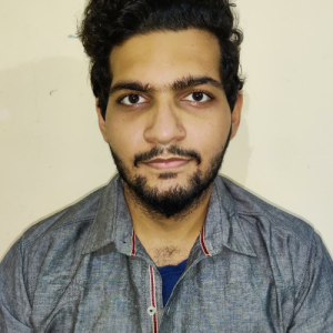 Syed Mohammad Akhtar Rizvi-Freelancer in Gorakhpur,India