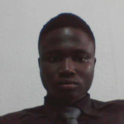 Gideon Jimoh-Freelancer in Abuja,Nigeria