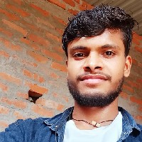 Bittu Kumar-Freelancer in Lucknow,India