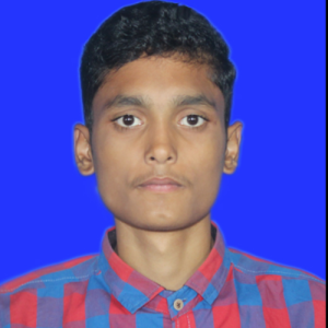 Sadhin Mandal-Freelancer in bangladesh,Bangladesh