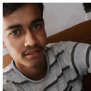 Rohit Arya-Freelancer in Didwana,India